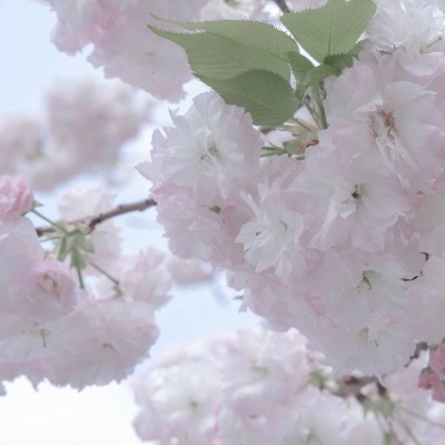 兽设质感表现实用教程福瑞交流群